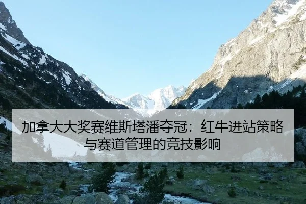jia-na-da-da-jiang-sai-wei-si-ta-pan-duo-guan-hong-niu-jin-zhan-ce-lve-yu-sai-dao-guan-li-de-jing-ji-ying-xiang-2-798.jpg